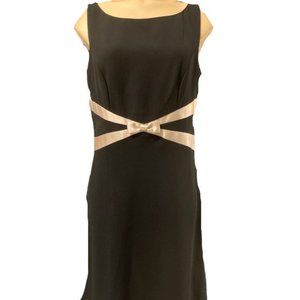 Ann Taylor Dress size 8